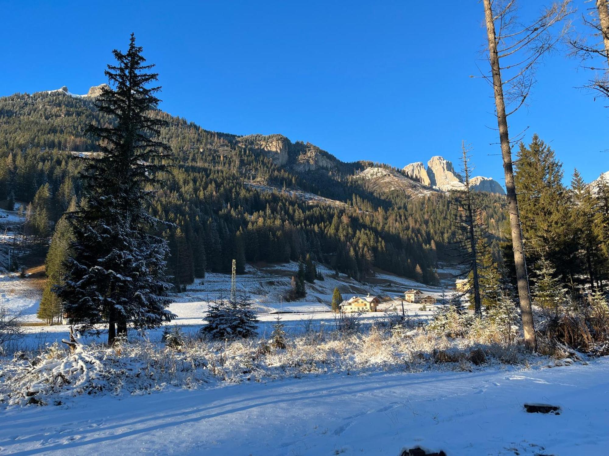 Ferienwohnung Mes Lastei Campitello di Fassa Exterior foto