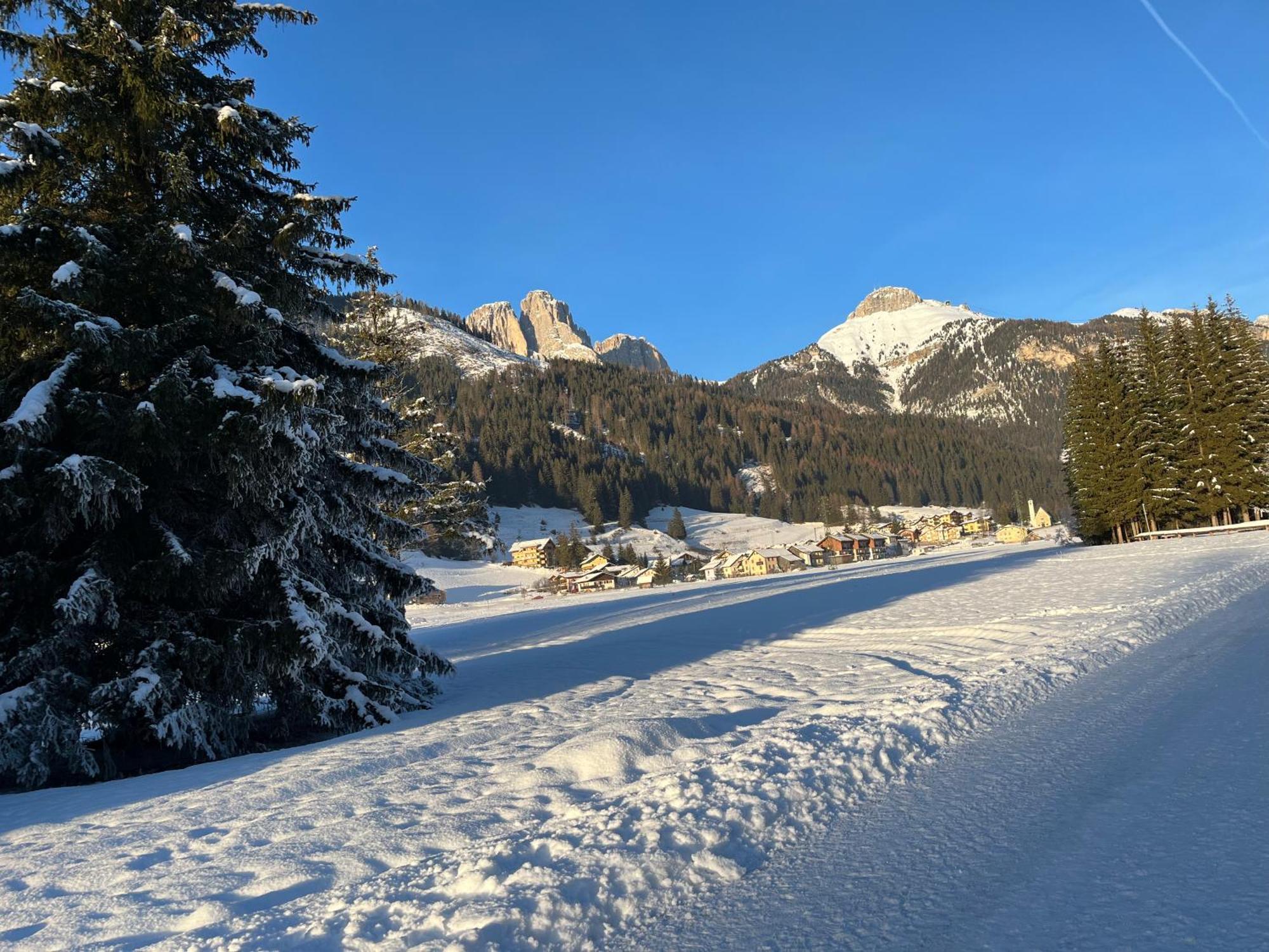 Ferienwohnung Mes Lastei Campitello di Fassa Exterior foto