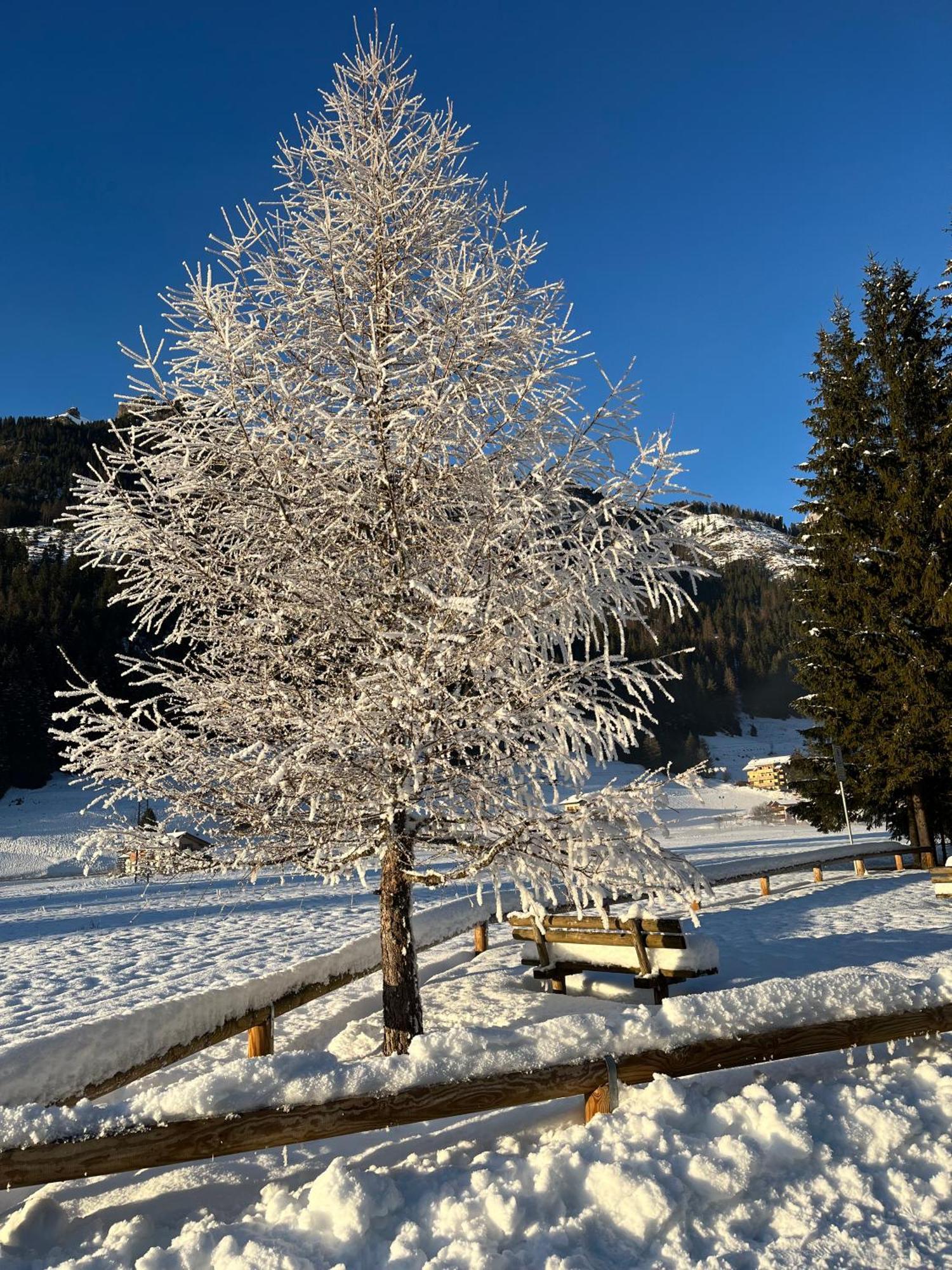 Ferienwohnung Mes Lastei Campitello di Fassa Exterior foto