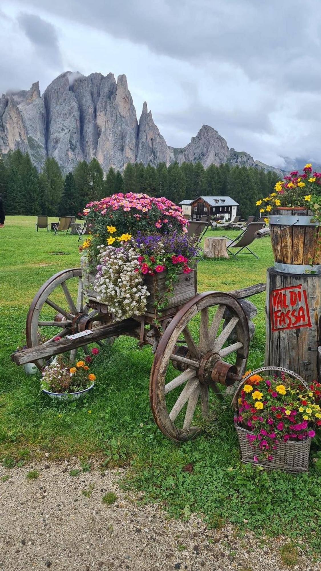 Ferienwohnung Mes Lastei Campitello di Fassa Exterior foto